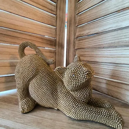 Cosy Aspiniii 波城