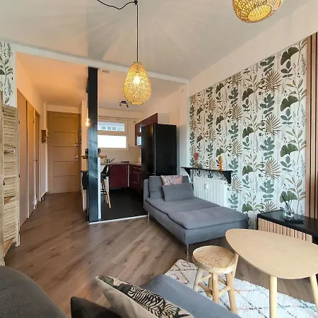 Cosy Aspiniii 波城