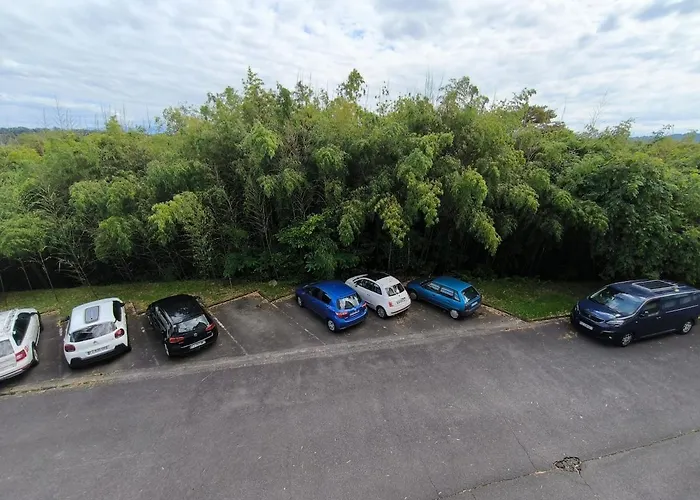 Apartament Cosy Aspiniii Pau