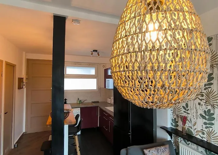 Apartament Cosy Aspiniii *